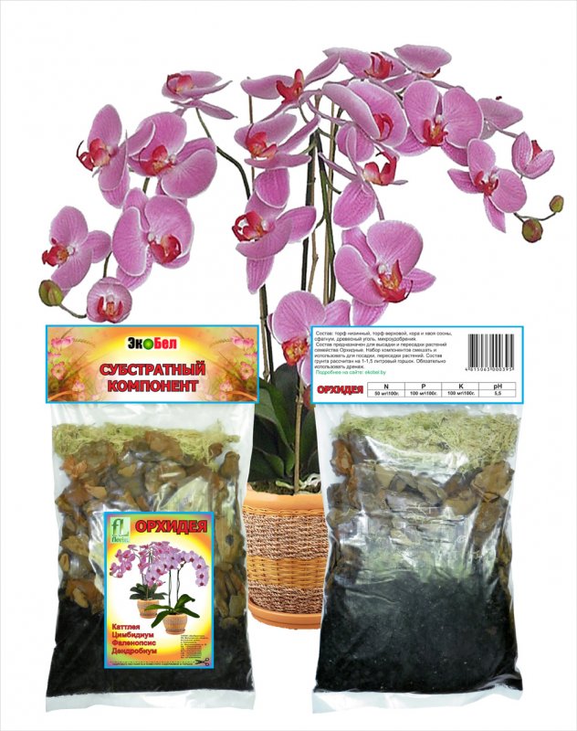 nabor-substratov-orhideya